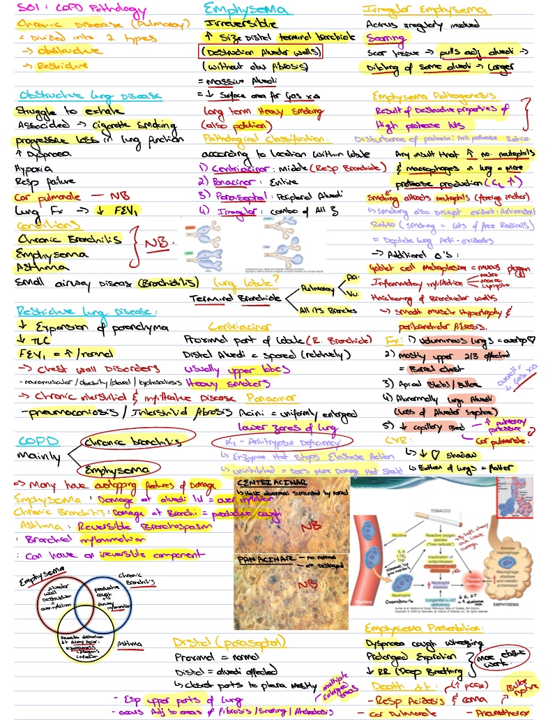 S01: COPD Pathology (Prof PT Schubert) - Notability Gallery