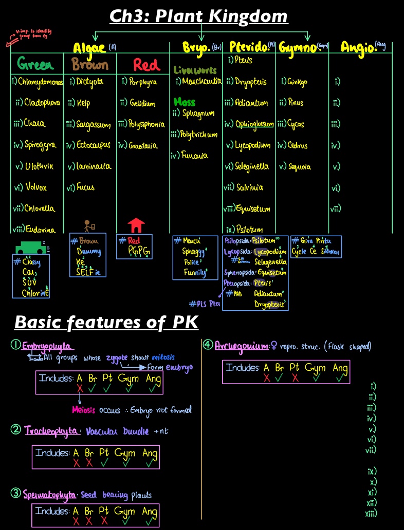 Plant Kingdom - Notability Gallery