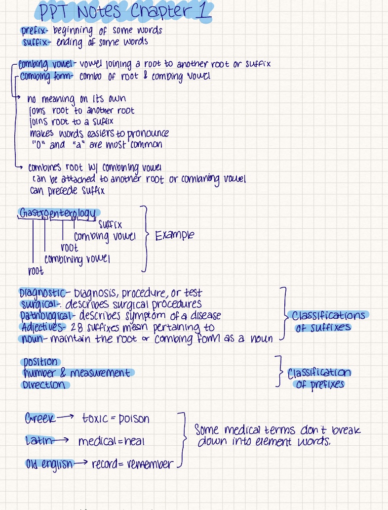 🫁 Notes & medical terms can be found here ⤵️ @rev.med Keep breathing… it's  going to get a lot better! For more- hit the fol