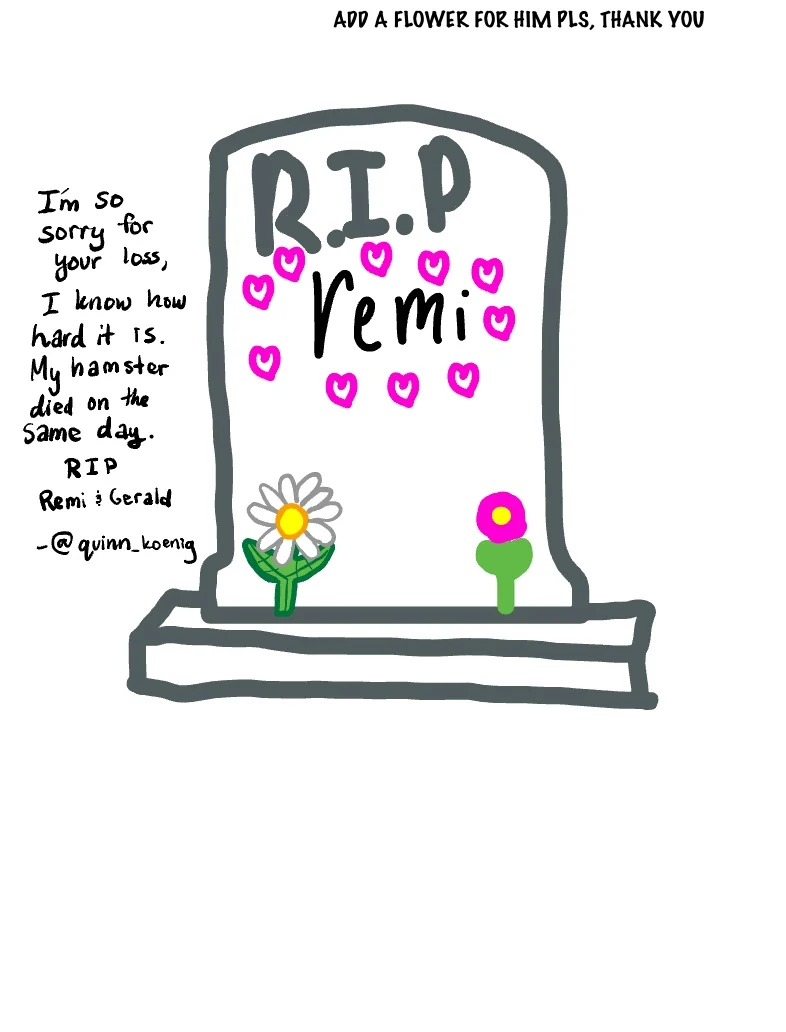 In Memory Of My Hamster He Died On Sunnday November 6, 2022 ...