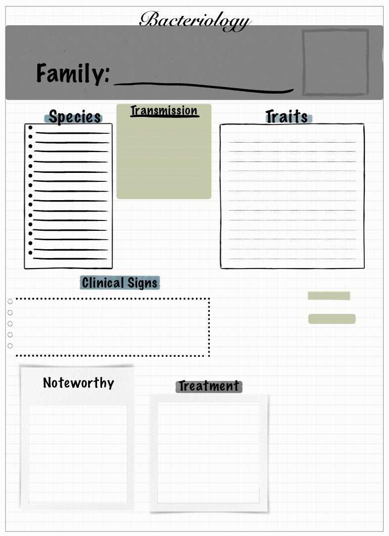 Bacterial Family Notes Template - Notability Gallery