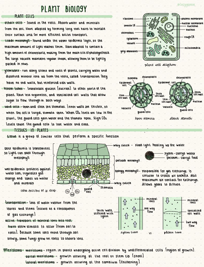 Plant Biology - Notability Gallery