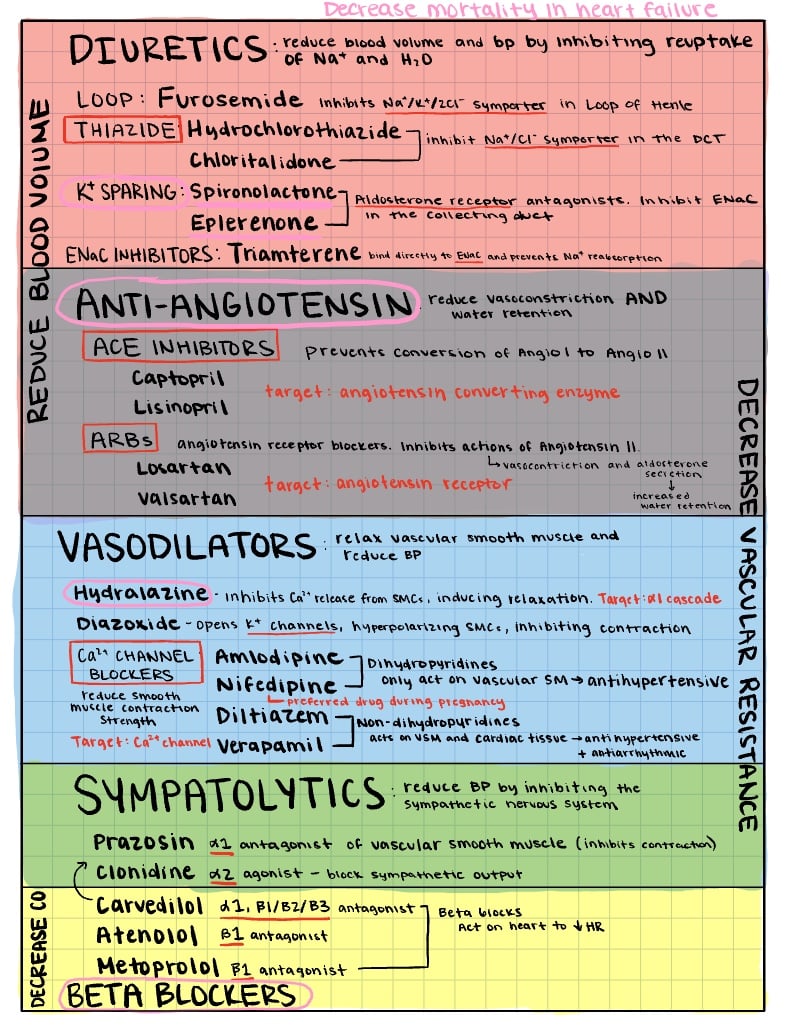 Anti Hypertensives - Notability Gallery