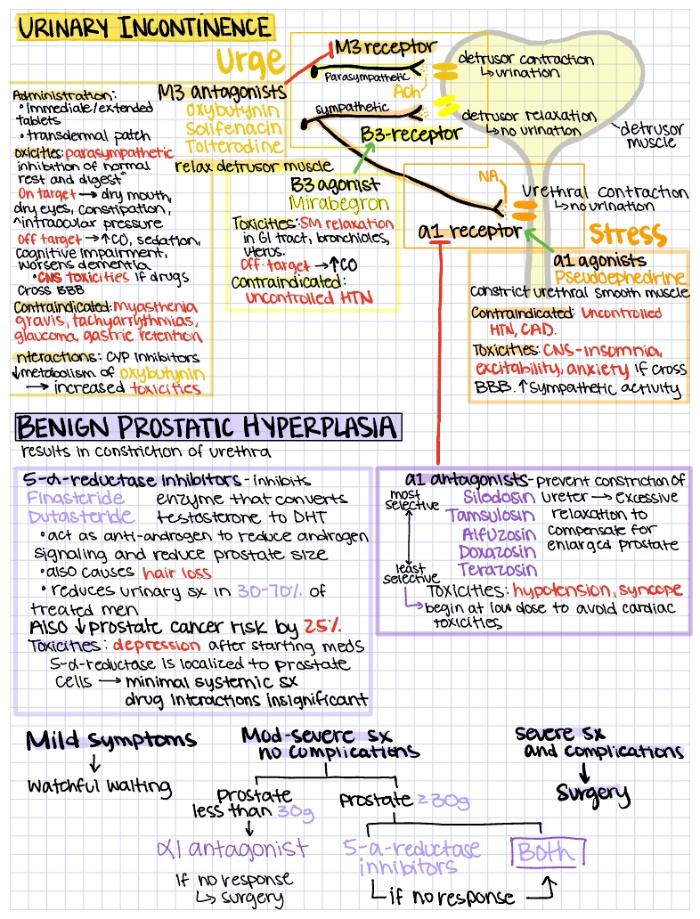 Urologic Pharm - Notability Gallery