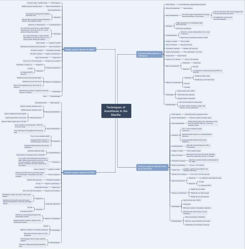 Mindmap Techniques Of Maxillary - Notability Gallery