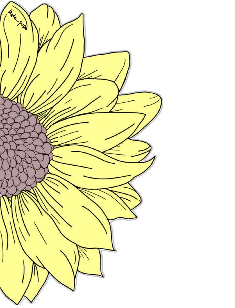 Pretty Sunflower 🌻 - Notability Gallery