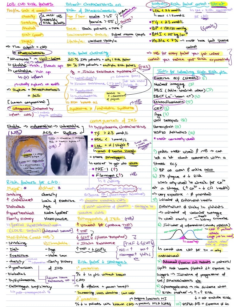 S03: CVD Risk Factors (Prof Doubell) - Notability Gallery