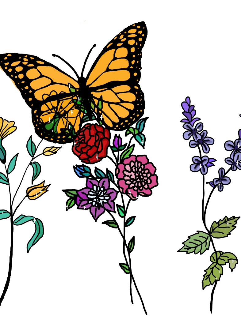 Butterfly And Flower - Notability Gallery