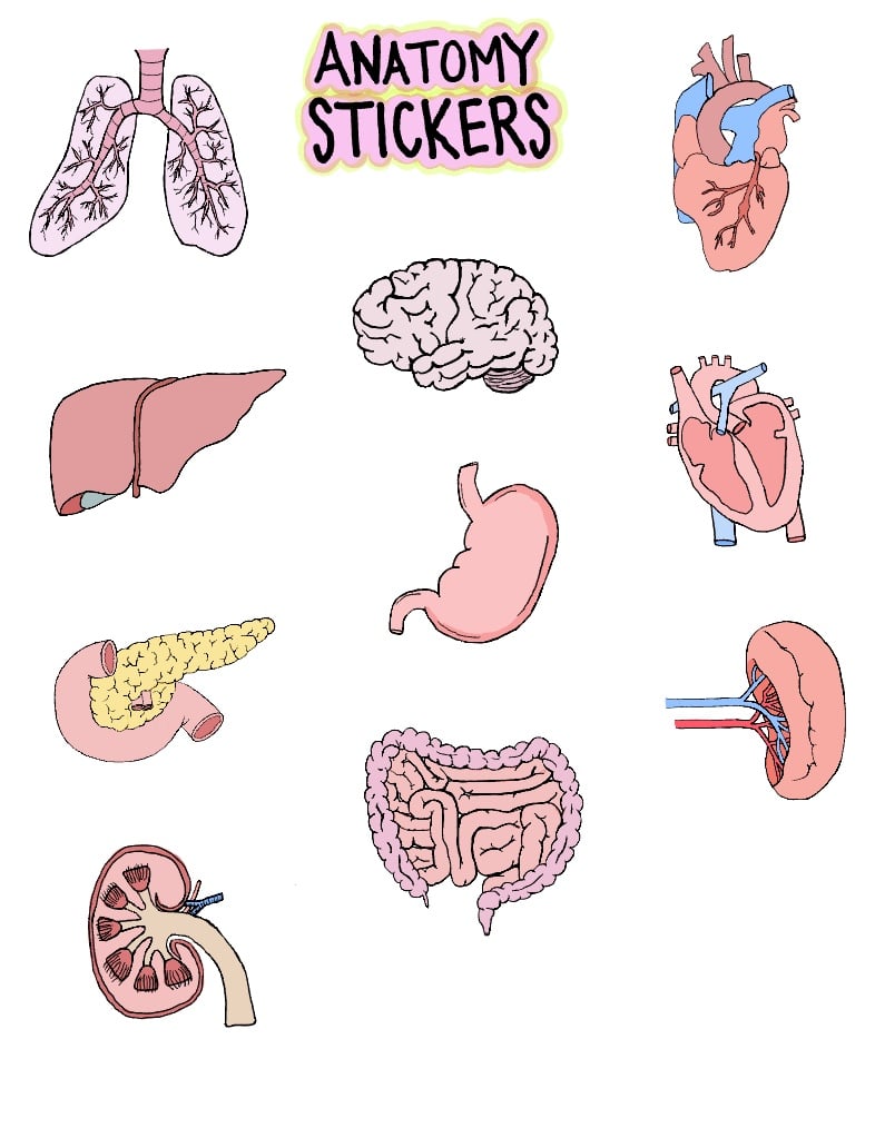 Stickers For Nurses! - Notability Gallery