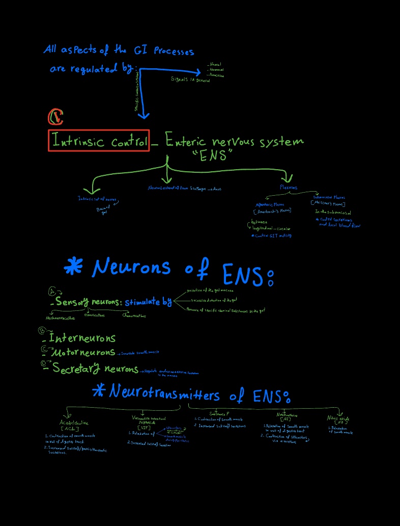 Note 19 Jun 2022 - Notability Gallery