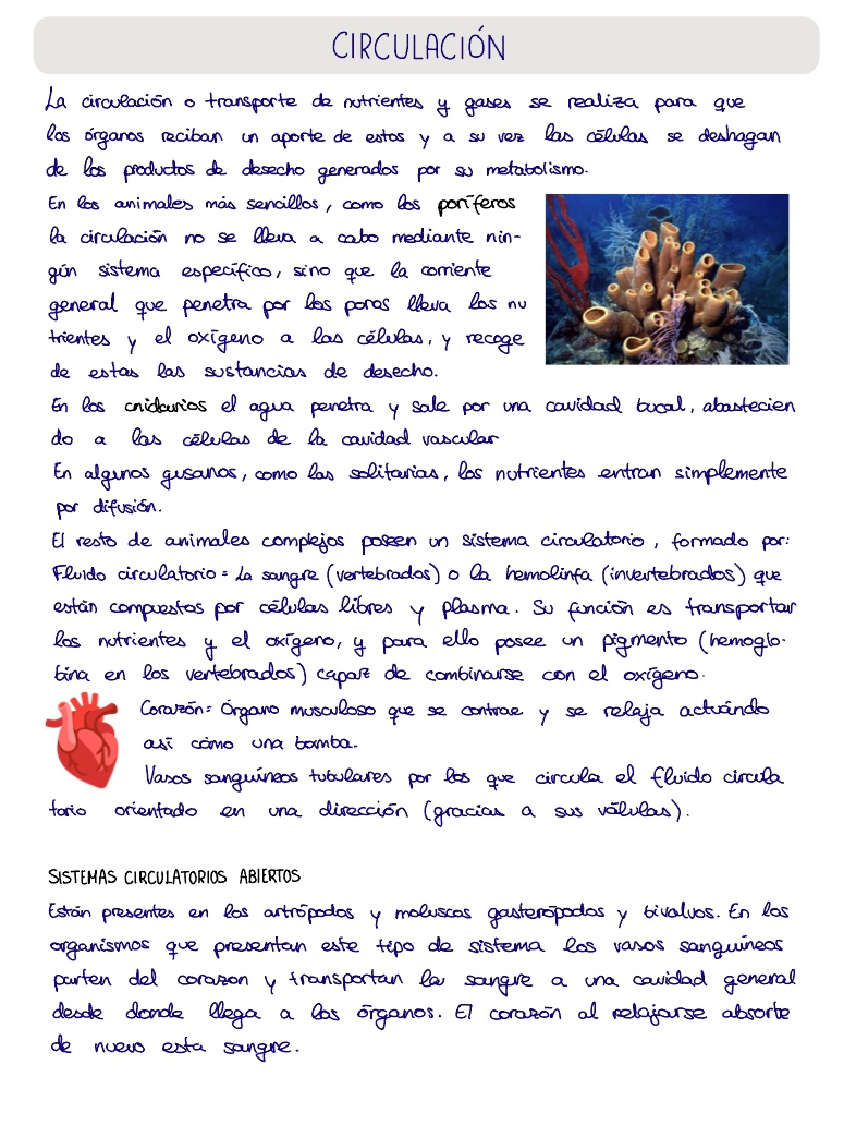Tema 6 - Notability Gallery