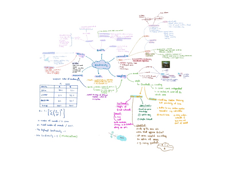 Biodiversity Mind Map Alevel Biology - Notability Gallery