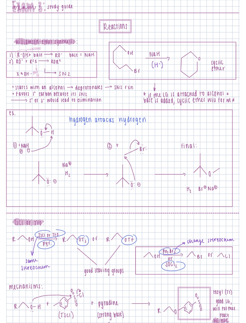 Exam 3: Study Guide - Notability Gallery