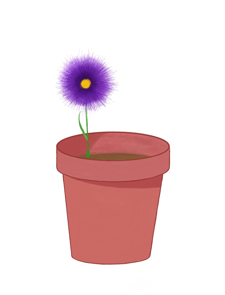 Draw A Flower - Notability Gallery