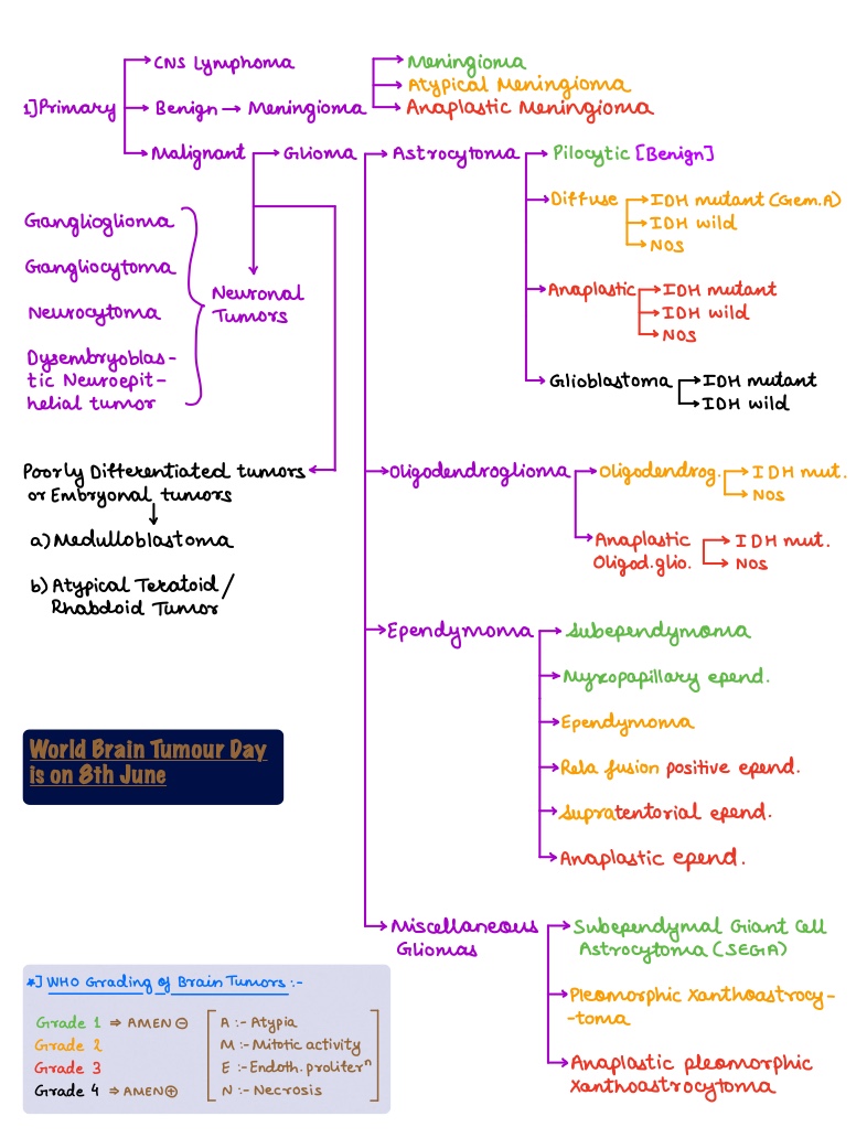 Brain Tumors & Herniations - Notability Gallery