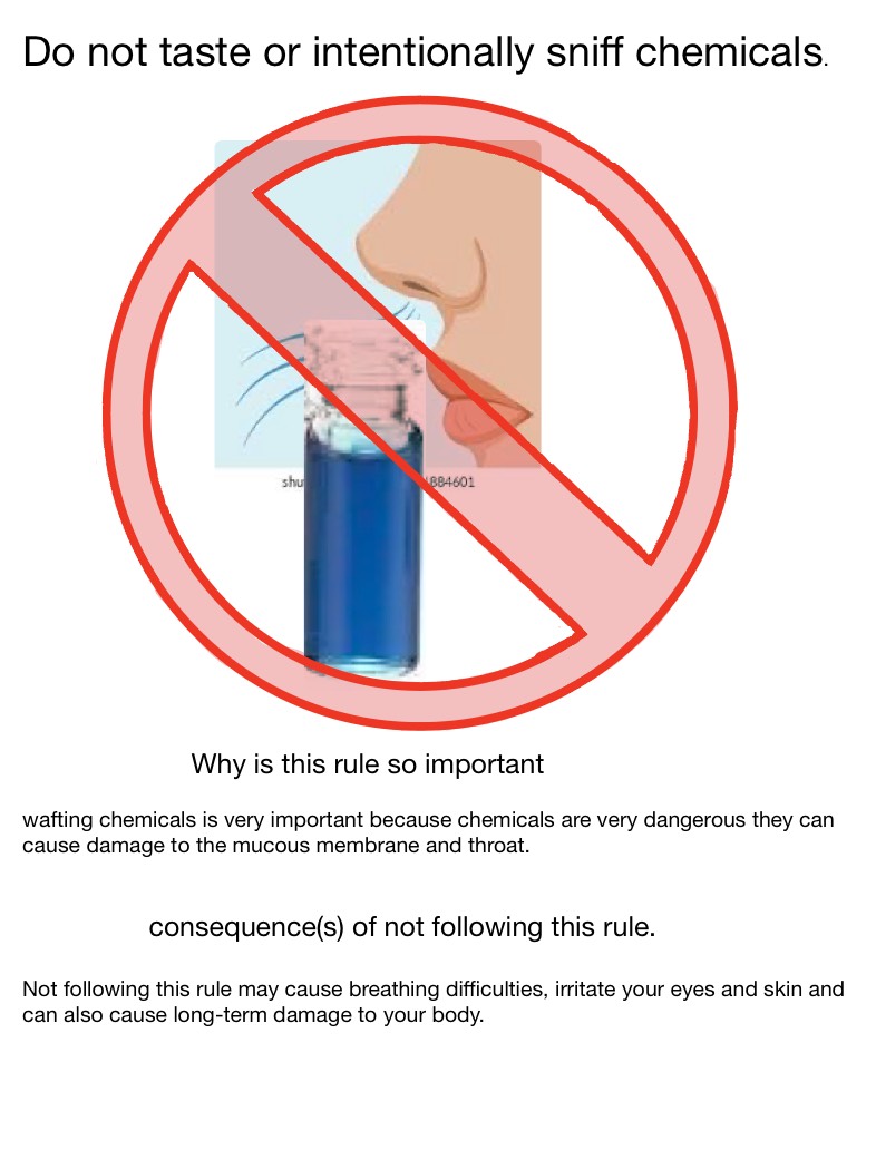 Science Project - Notability Gallery