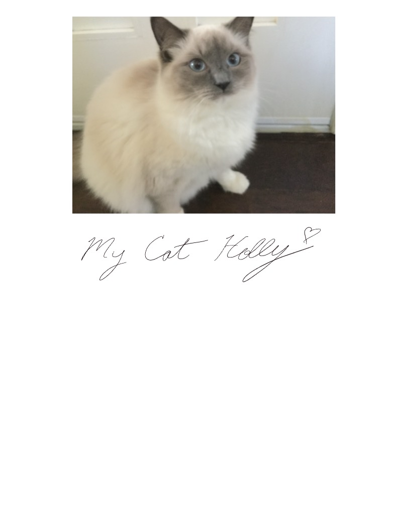 My Cat Holly 🫶 - Notability Gallery