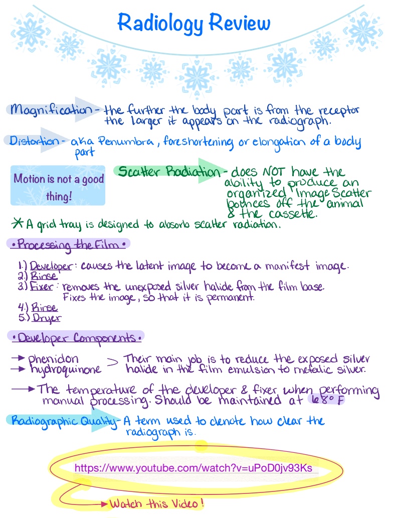 Review Radiology Notes - Notability Gallery