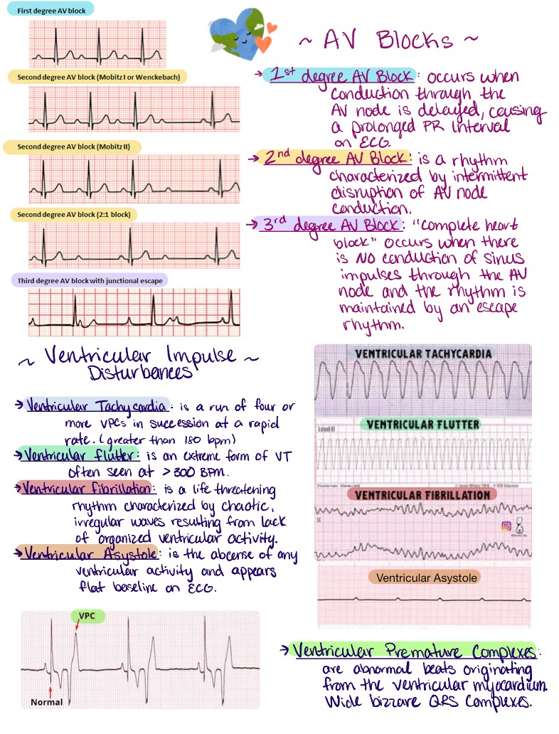 ECG Notes - Notability Gallery