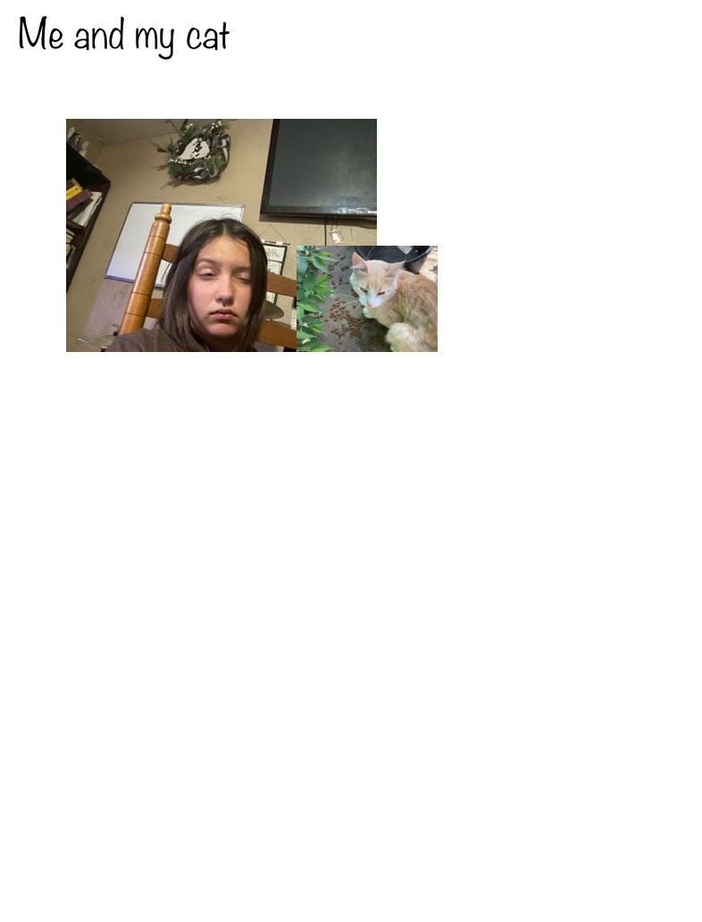 My Cat And Me - Notability Gallery