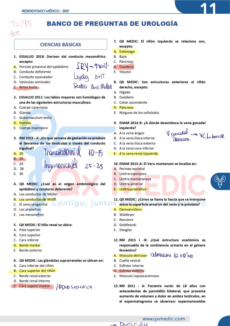 UROLOGÍA BP - Notability Gallery