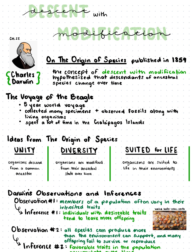 Chapter 22 - Notability Gallery