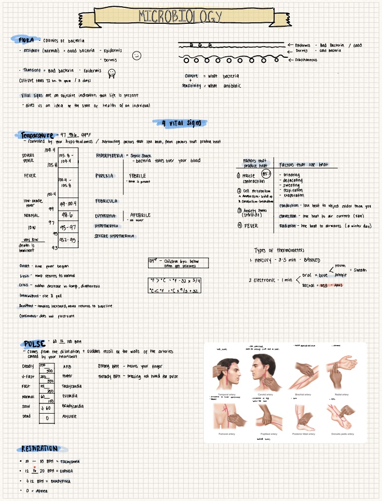 Medical Office Clinical - Notability Gallery
