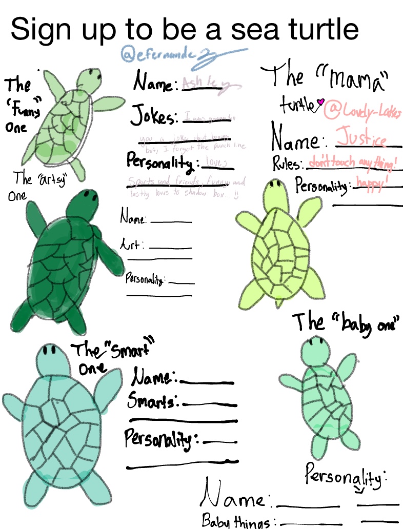 Adopt A Turtle! - Notability Gallery