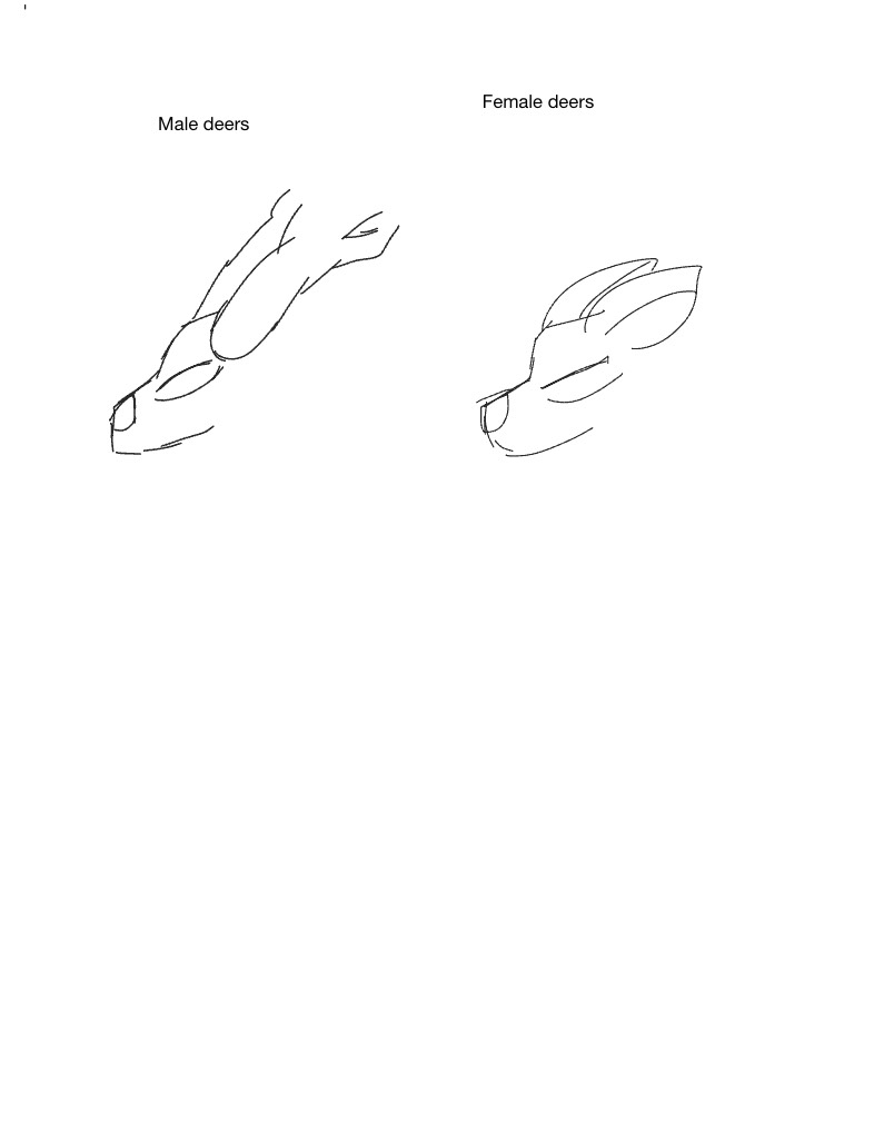 How That Work - Notability Gallery