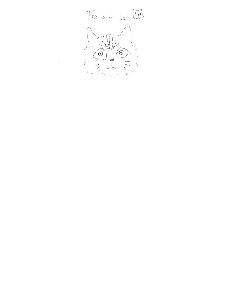 A Cat 🐱 - Notability Gallery