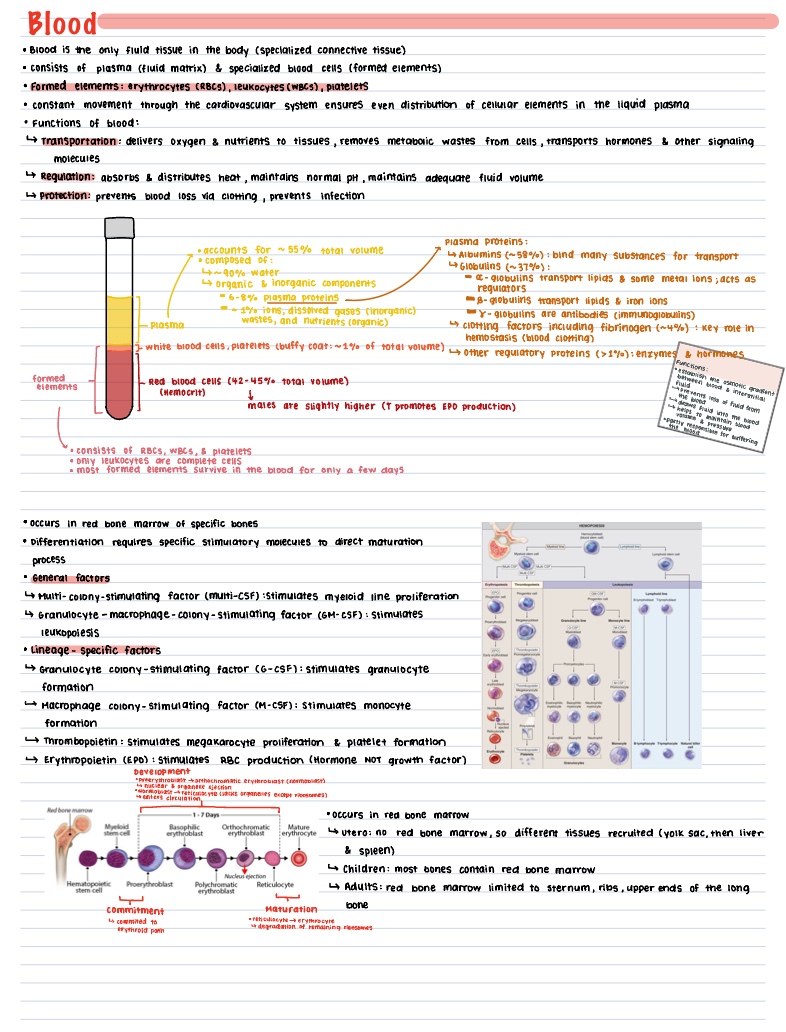 Blood Notes - Notability Gallery