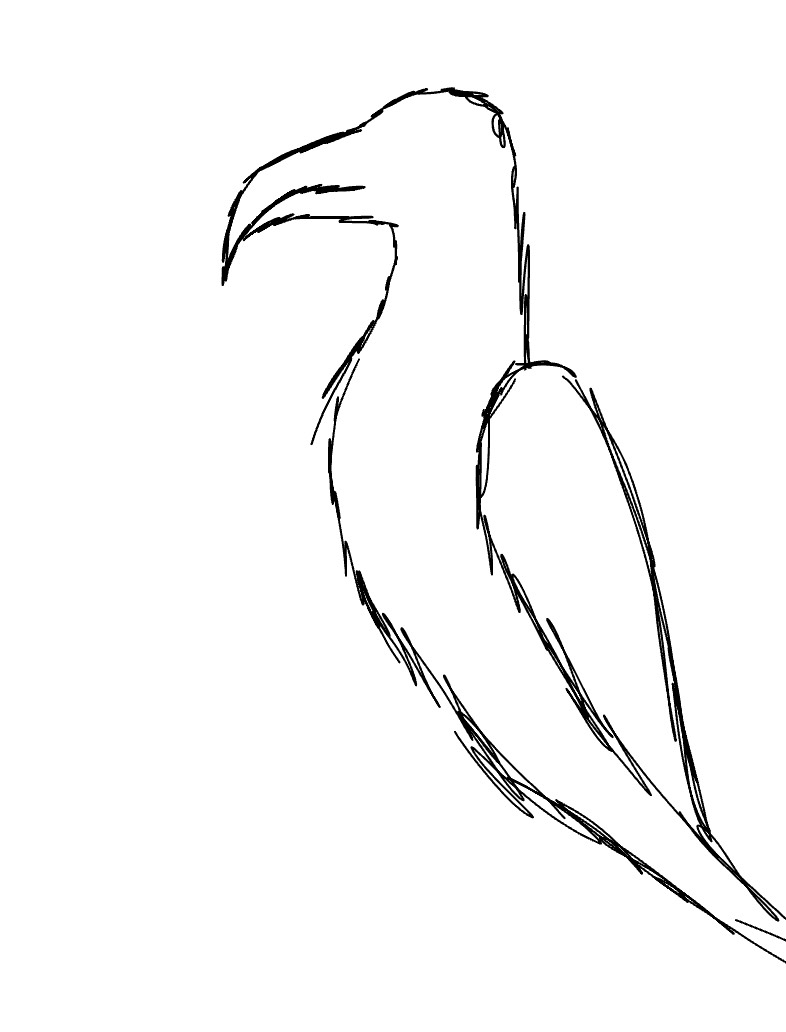 BIRD - Notability Gallery
