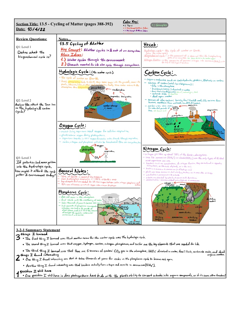 P.24 Cycles Cornell Notes - Notability Gallery