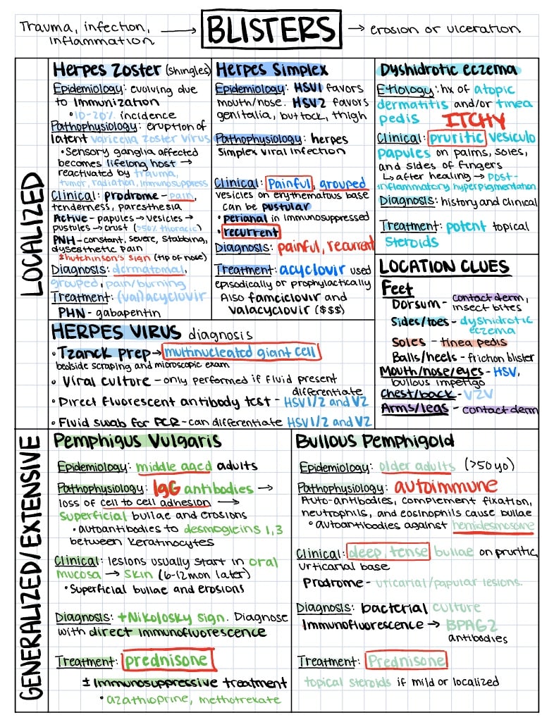 Dermatologic Reactions - Notability Gallery