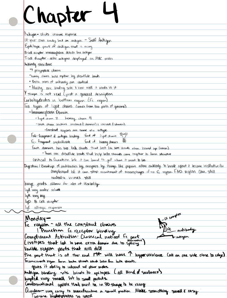 Immunity Chapter 4 - Notability Gallery
