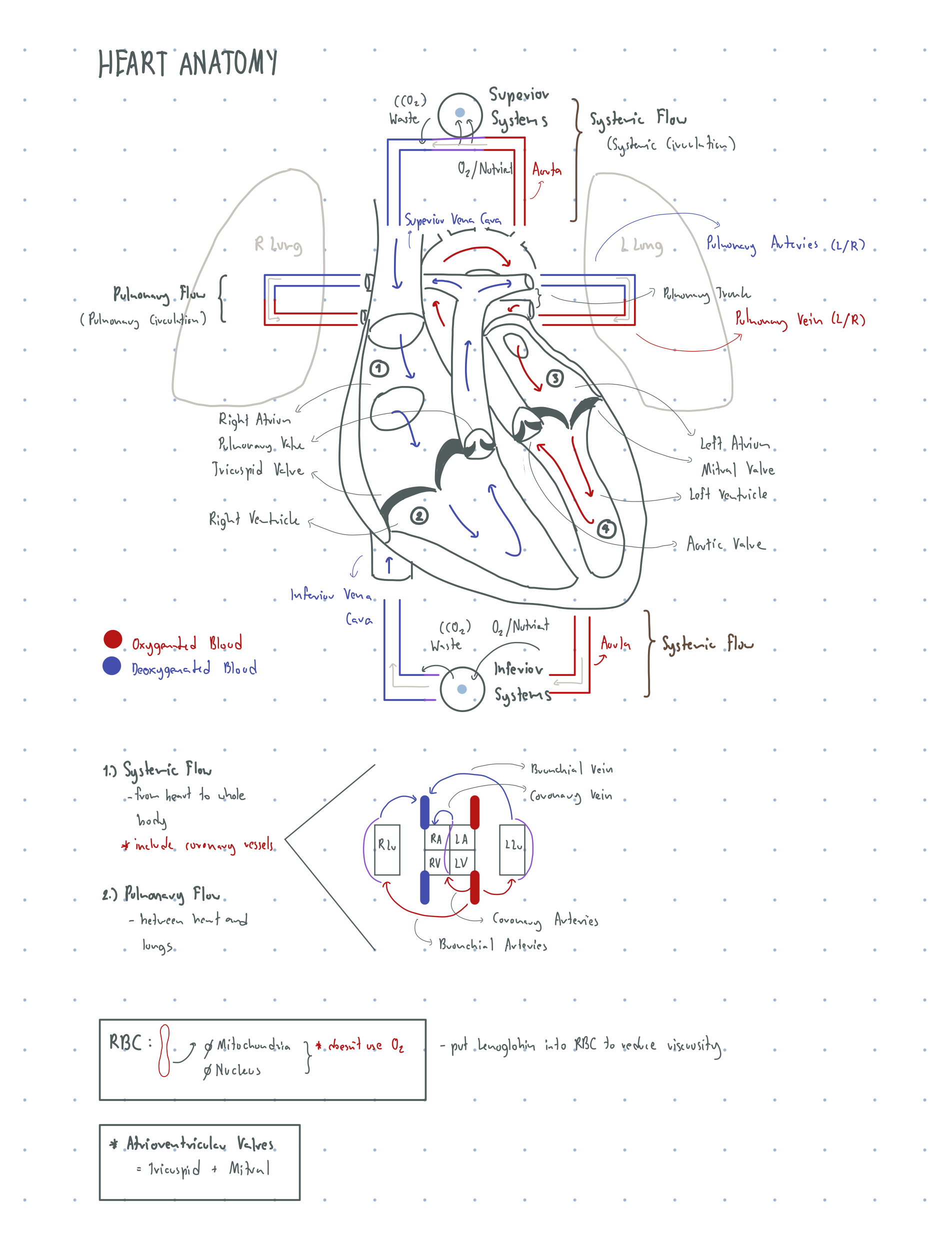 Writing app for Mac users from Notability